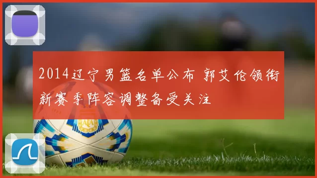 2014辽宁男篮名单公布 郭艾伦领衔新赛季阵容调整备受关注