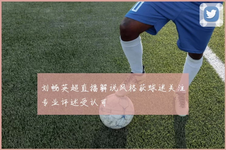 刘畅英超直播解说风格获球迷关注专业评述受认可