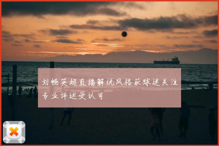 刘畅英超直播解说风格获球迷关注专业评述受认可
