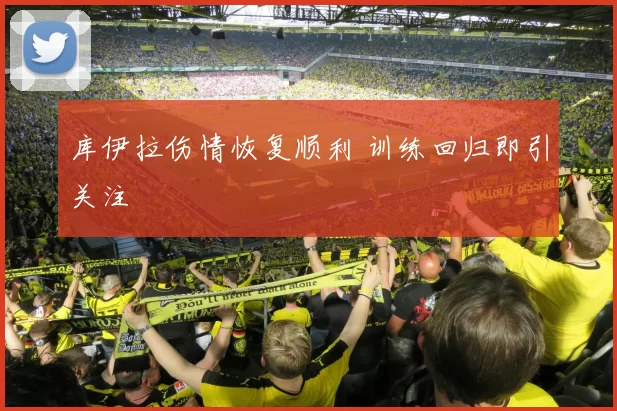 库伊拉伤情恢复顺利 训练回归即引关注